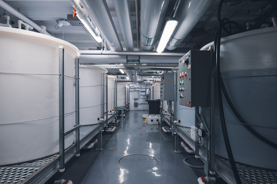 ono process room