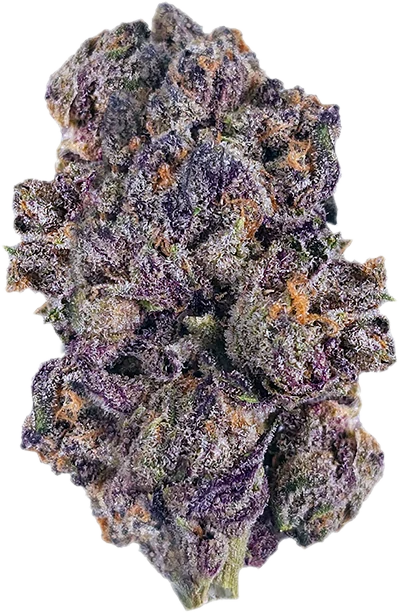 Fleur Rainbow Pie (Astrono)