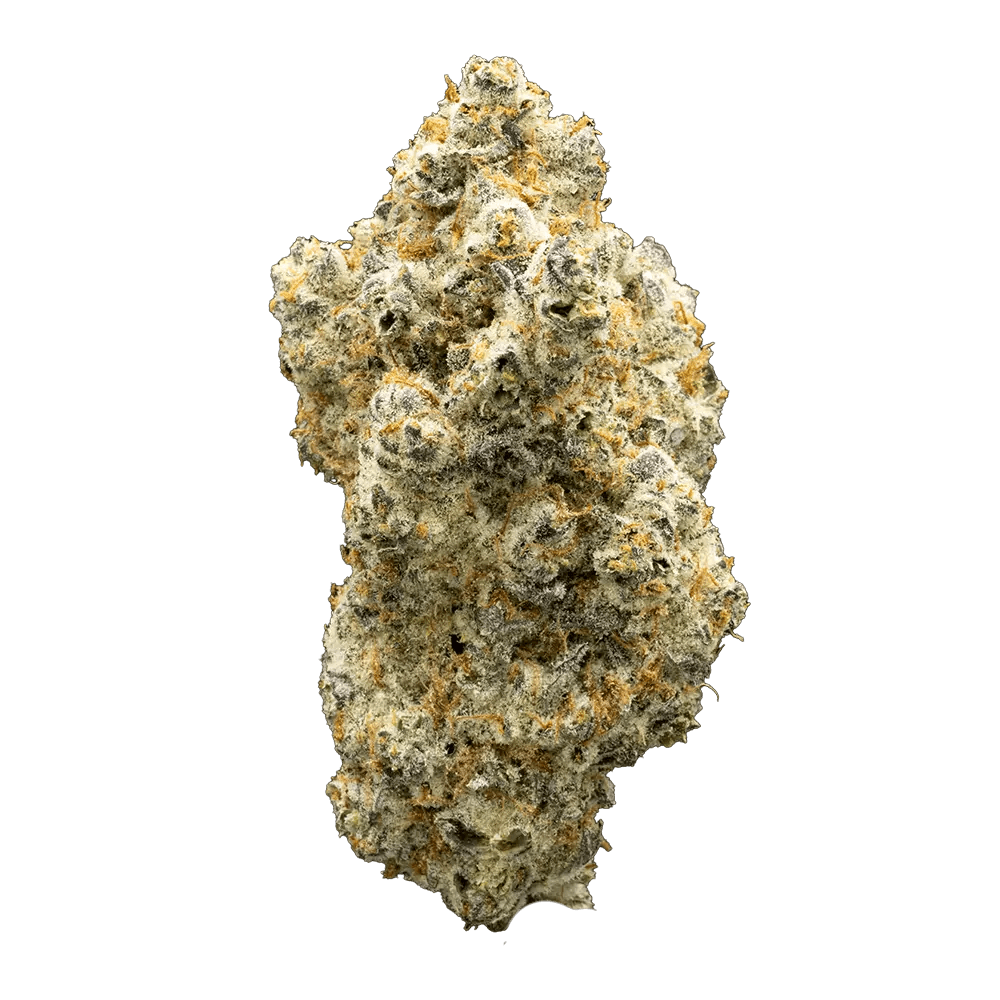 Blueberry Bubba